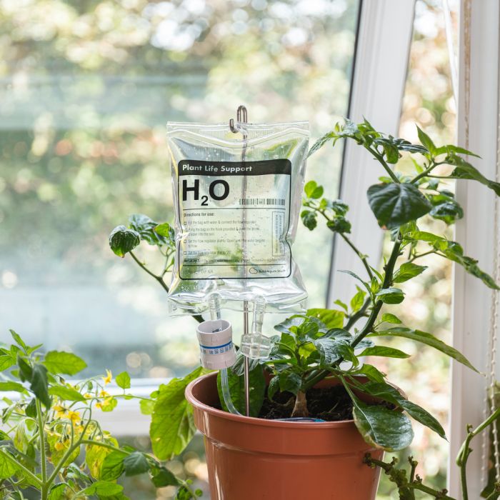 Arrosage automatique plantes d'intérieur : Perfusion H2O pour plantes -  14,95 €