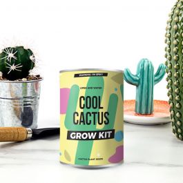 Achat Mini Kit Prêt à Pousser Wild Cactus en gros